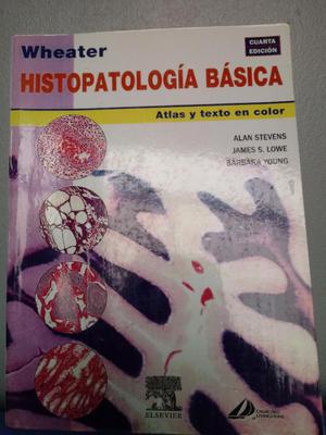 Wheater Histopatología 4ta Edición