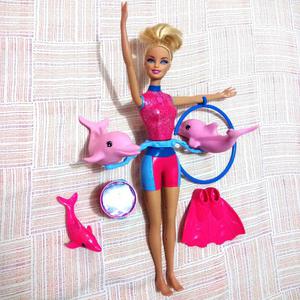 Set Barbie Entrenadora Delfines Juguete