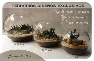 Terrarios Con Cactus Y Suculentas, Regalos Corporativos Etc