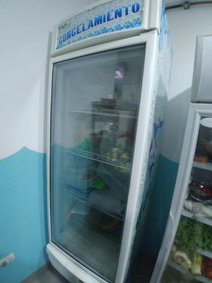 Venta Bisicooler Refrigeradora Mostrador