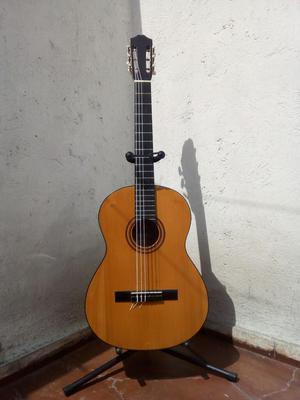 Guitarra Falcon