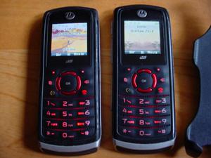 1 Celular Motorola i335 con cargador de Nextel
