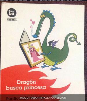 Dragón Busca Princesa