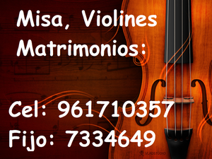 ___Coro parA misa violinistas