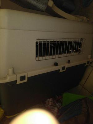 Casa de Perro para Viajes O Transladis