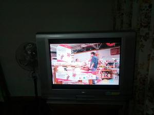 Vendo Televisor 29 Pulgadas Marca Sharp