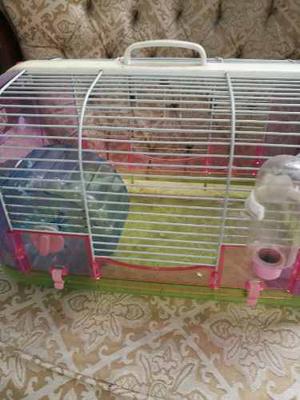 Jaula Para Hamster Con Accesorios Completos