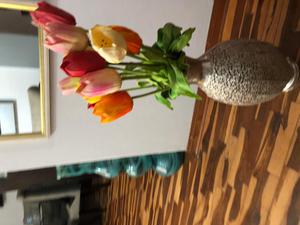 Vendo Tulipanes de varios colores como nuevos, solo los