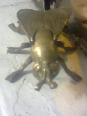 mosca de bronce