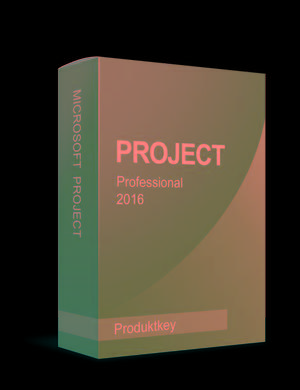 MICROSOFT PROJECT PROFESSIONAL  PARA WINDOWS DELIVERY