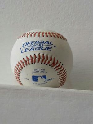 Pelota Baseboll