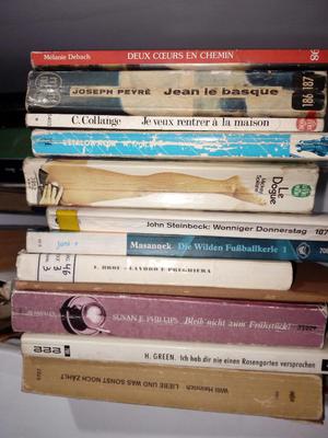 Remate de Libros Francés Y Alemán