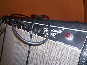 Amplidicadores Fender 100 Watts