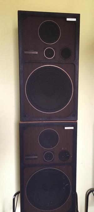 Parlantes Pioneer