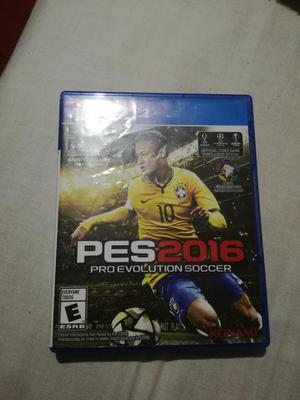 Vendo Pes 