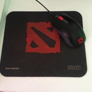 SteelSeries Mouse and QcK mini Mouse Pad Dota 2