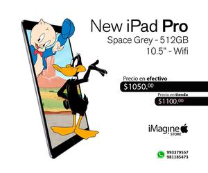 iPad Pro 10.5 Space Gray /nuevo/12meses de garantia