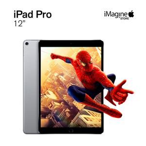 iPad Pro GB /wifi4G/Space Gray/nuevo/12 meses de