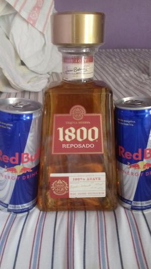 Tequila 2 Red Bull100 Agave
