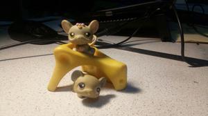 little pet shop duo de raton