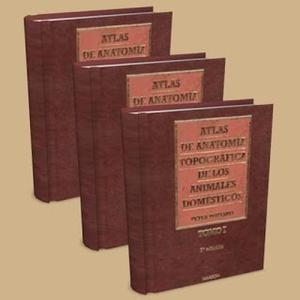 Atlas 1, 2 Y 3 Anatomia De Los Animales Domesticos Popesko