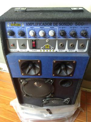 Amplificador para Guitarra, para Microfonos, 220v, Funciona