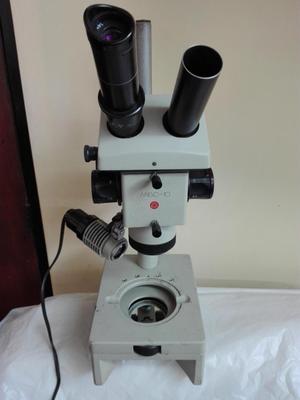 Microscopio stereo