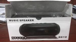 Speaker Q610