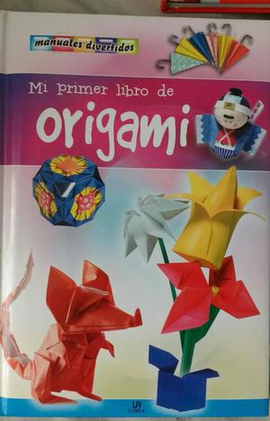 Libro Origami