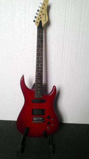 Guitarra Biscayne