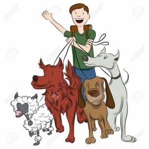 Animallife/paseadores de Perros