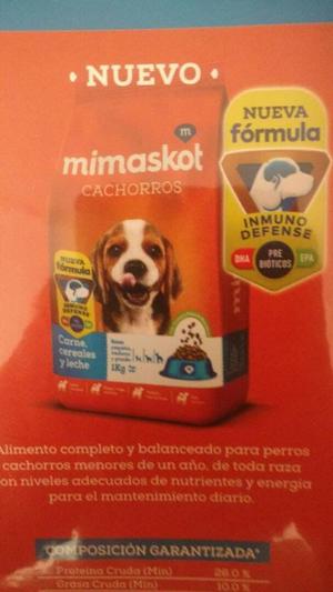 NUEVO MIMASKOT CACHORROS