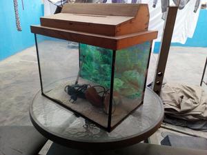 Pescera con Motor para Limpiar Agua