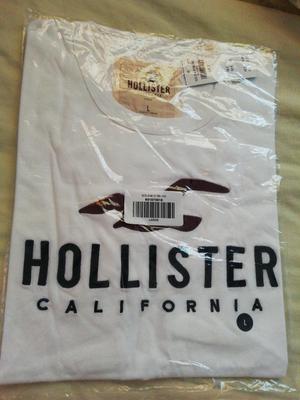 Polo Hollister