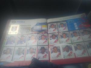 Album panini lleno