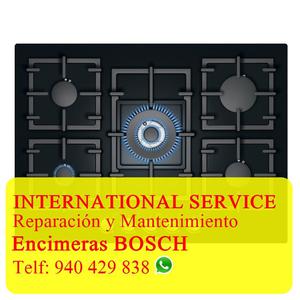 COCINAS BOSCH TECNICOS MANTENIMIENTO SAN BORJA  ///