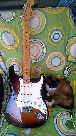 fender stratocaster special americana