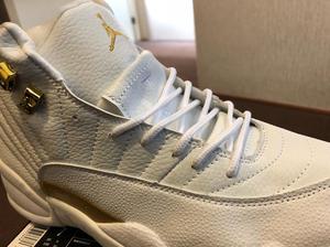 Air Jordan 12 Retro 