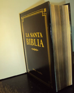 SANTA BIBLIA REINA VALERA 20x28 cm y con LETRA GRANDE