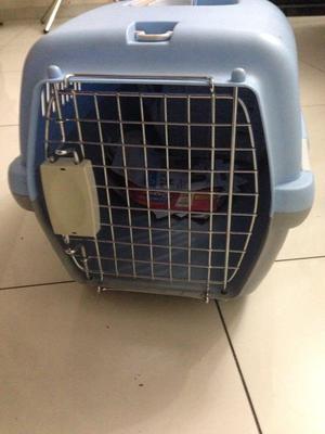 Nuevo Blue Dog Kennel