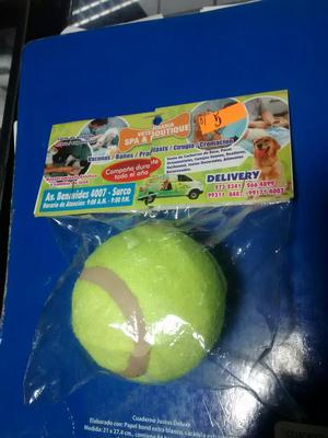 Pelota para Mascota