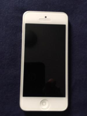 Ipod Touch 5g 32gb Blanco/gris
