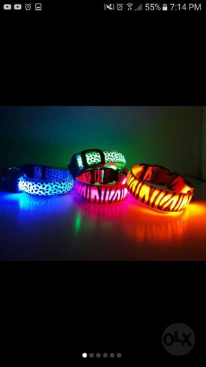 Collares Led para Perro