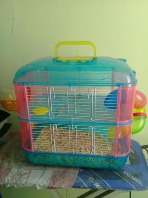 Oferto Jaulas Importadas para Hamster