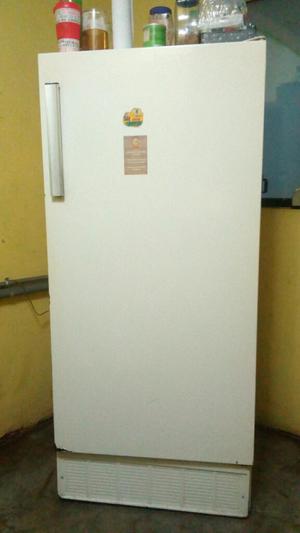 Refrigeradora / Nevera