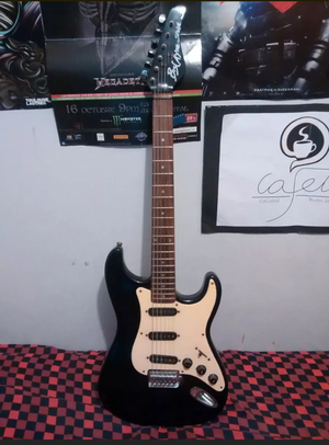 Guitarra Eléctrica Stratocaster Vendo O Cambio Por Violín