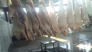 Vendo Cerdo Vivo de 90 Kg en Trujillo