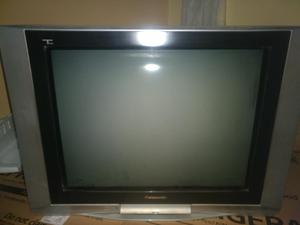 Vendo Televisor de 29