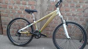 Bicicleta Montañera