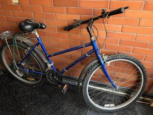 Bicicleta azul adulto